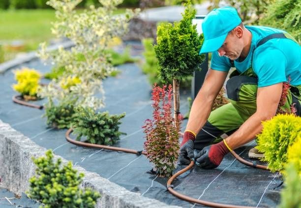 Mantenimiento de Jardines y Paisajismo